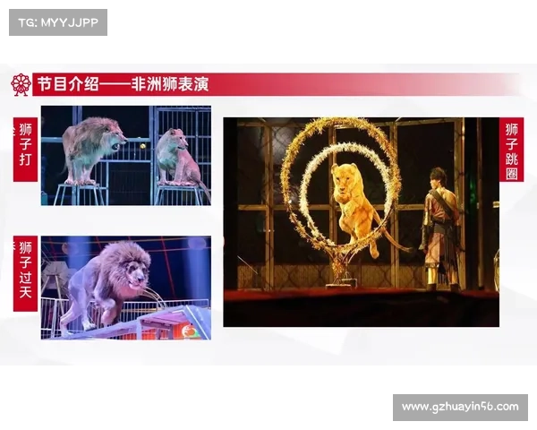 揭开暗月马戏团的八大飞翔秘密 探索未知的空中奇迹与神秘技艺 揭开暗月马戏团的八大飞翔秘密 探索未知的空中奇迹与神秘技艺
