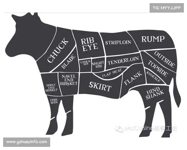 全面解读澳洲杯最新完整赛程资讯你到底知道多少精彩内容呢