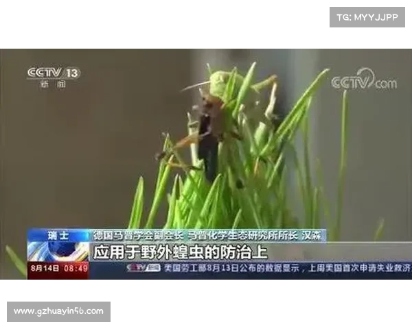 坎贝尔比赛位置深度解析全面揭示其多重战术角色全貌与运作机制的