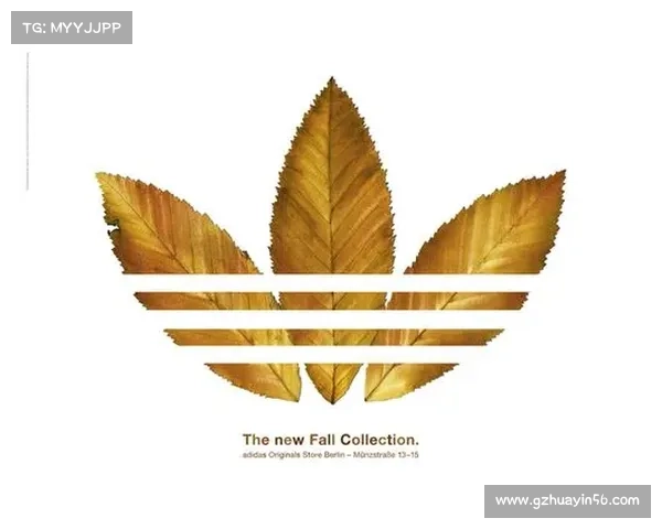 法甲冠军标志的起源、演变与象征意义探究